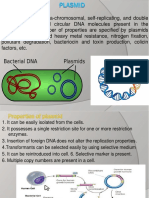 Plasmid