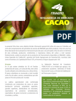 Ficha Cacao Version II