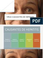 Virus Hepatitis