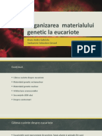 Organizarea Materialului Genetic La Eucariote