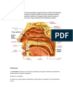 Oxigeno Terapia Pulmonar