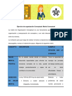 Matriz Conceptual