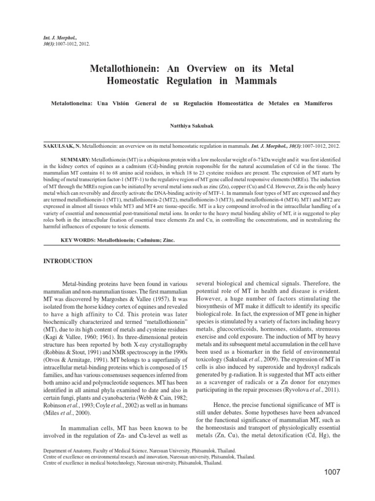 Metallothionein An Overview On Its Metal Homeostatic Regulation in