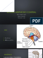 Sistema Nervioso Central 1