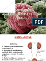 10SistemaRenaluna 20171017103612