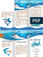 Características y hábitat de los tiburones