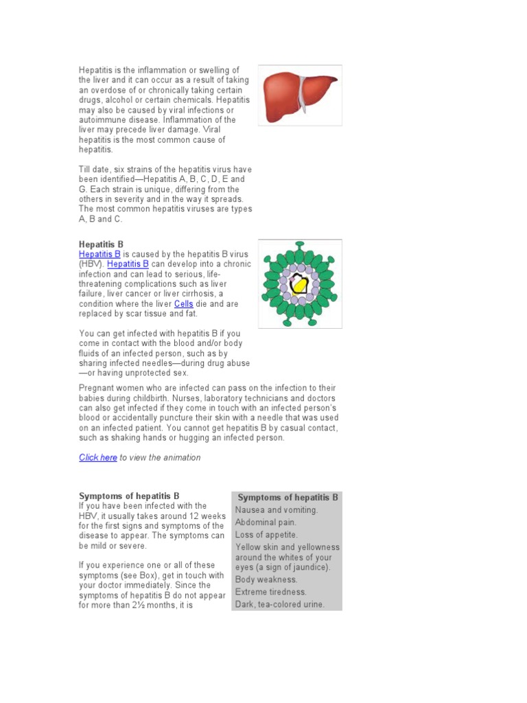 Understanding Hepatitis B Symptoms & Risks | PDF | Hepatitis | Hepatitis B