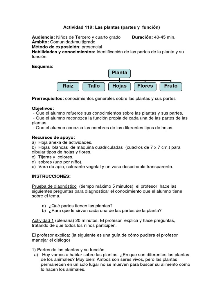 Partes y funciones de las plantas | PDF | Hoja | Tallo de la planta