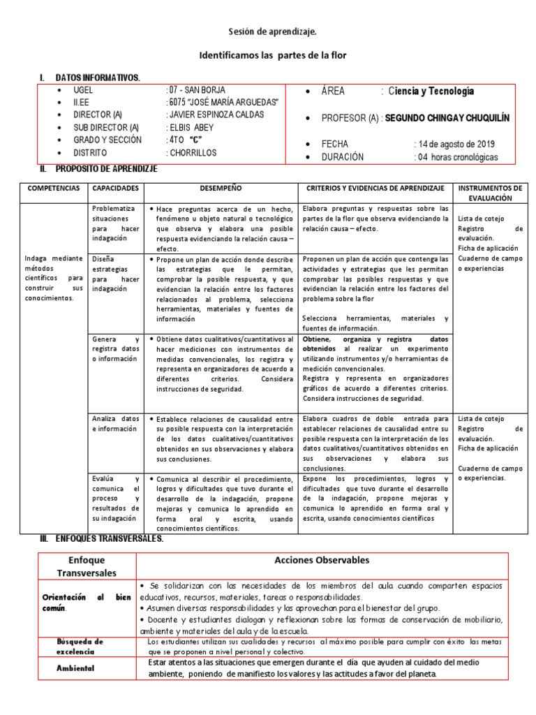 Sesión de Aprendizaje Sobre La Flor 4° C | PDF | Polen | Interacciones  biológicas, image size:768x1024