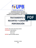 ProyectoFinalTratamientoLodos - Fabricio Rene Jasson