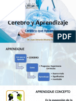 Cerebro y Aprendizaje