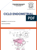 c i Clo Endometrial