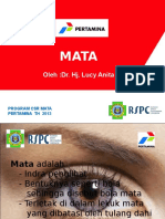 Mata