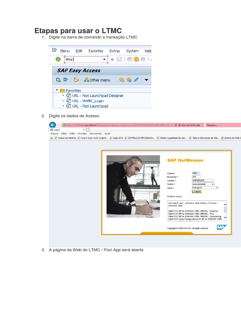 Guia Prático para Usar LTMC | PDF | Computing | Software