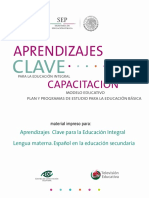 Curso_ Lengua Materna Secundaria.pdf