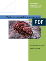 tejidos.pdf