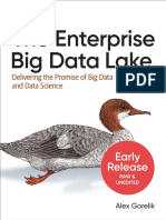 Big Data Lake