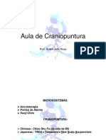 Aula_de_Cranio_Centro_Brasileiro.pdf