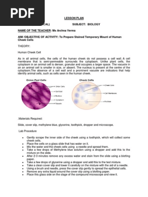 Human Cheek Cell Exp | PDF | Organelle | Cell (Biology)
