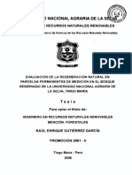 Tesis PDF