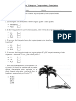 Examen Congruencia y Semejanza de Triángulos