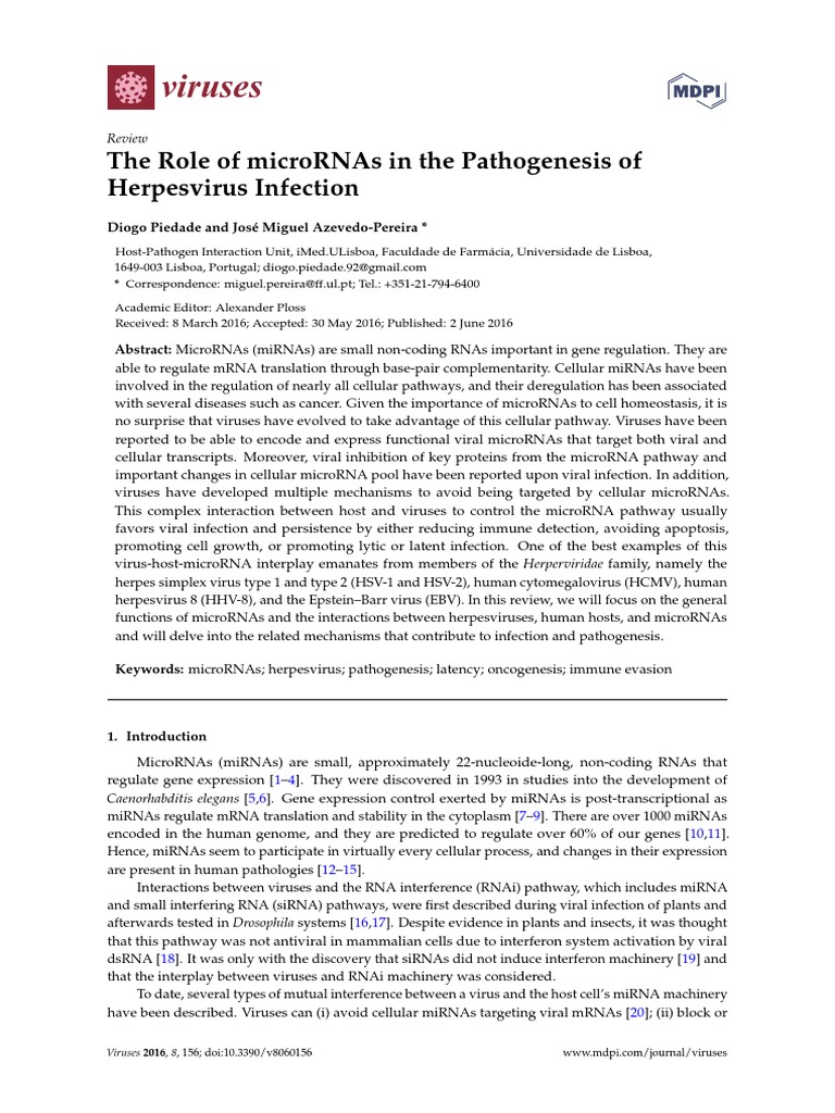 Viruses: The Role of Micrornas in The Pathogenesis of Herpesvirus ...
