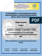 Diploma Nuevo