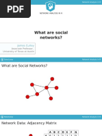 What Are Social Networks?: James Curley