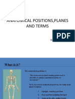 Anatomical Positions, Planes and Terms Presentation 3