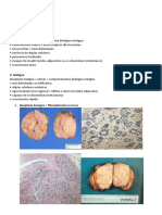 Resumo de Patologia - Neoplasias