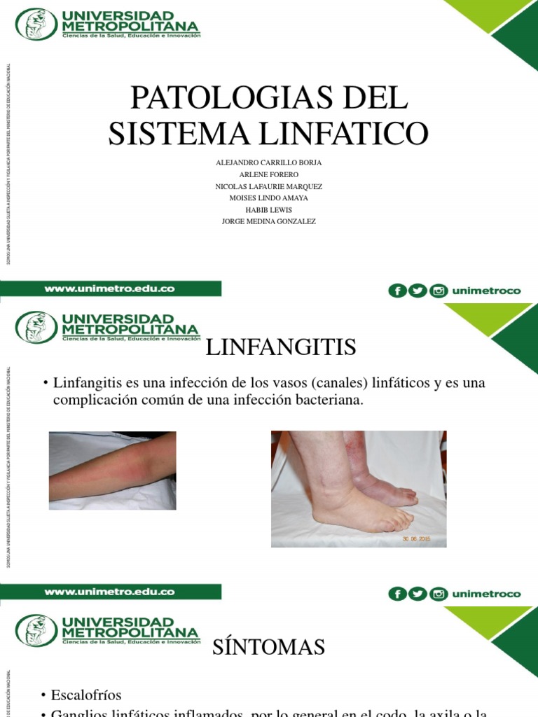 Patologias Del Sistema Linfatico Pdf Inflamación Especialidades