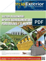 Ce 207 Sector Oleaginoso Aporte Agroalimentario Bolivia Mundo