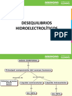 Electrolitos 2016 PDF