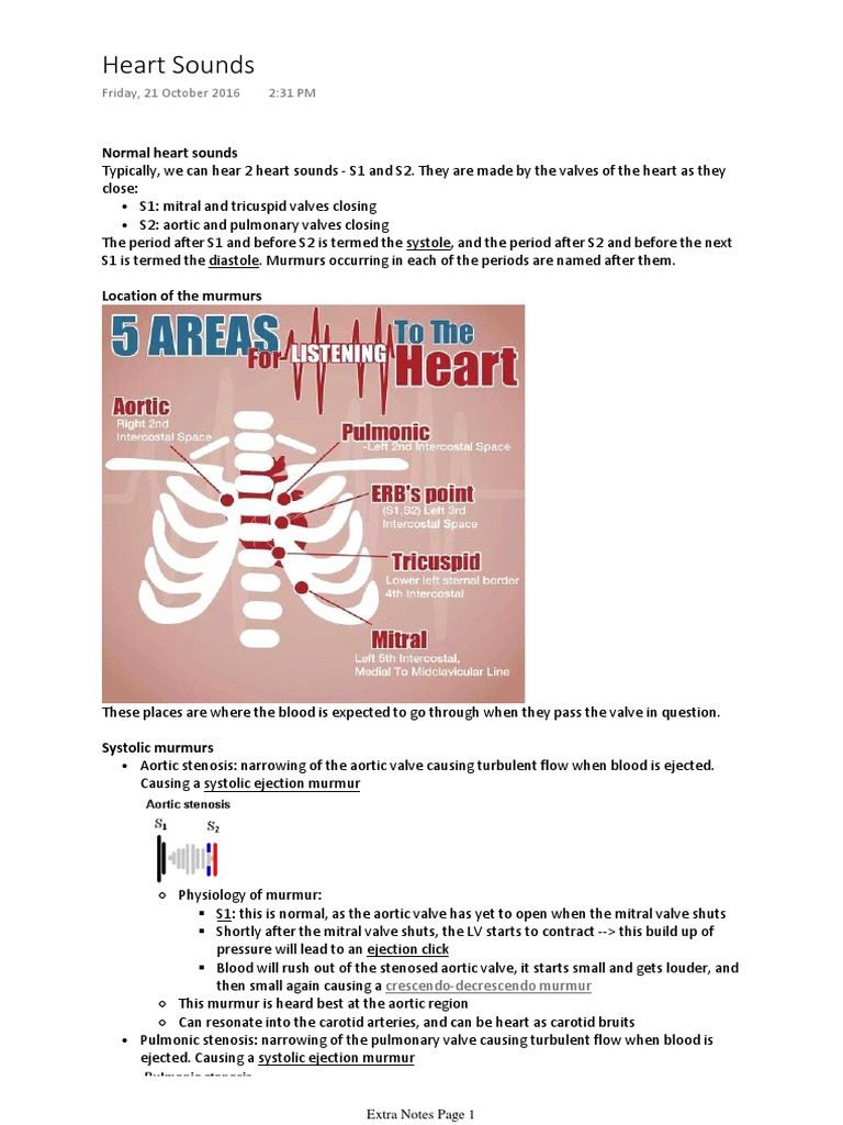 Heart Sounds | PDF | Heart Valve | Diastole