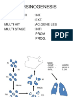 Carsinogenesis: Multifactor: INT.: EXT. Multi Hit: Ac - Gene Les Multi Stage: Inti Prom Prog