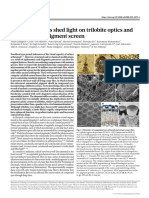 Letter: Fossil Insect Eyes Shed Light On Trilobite Optics and The Arthropod Pigment Screen