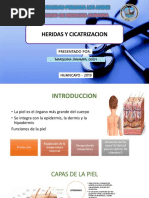 Expo Heridas