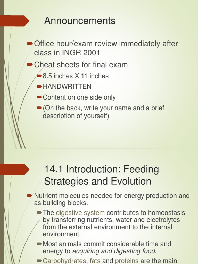 Chapter 14 - Digestive Systems | PDF | Small Intestine | Stomach