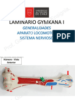 Laminario Gymkana I - UA LLANO 2018