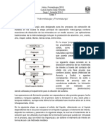 Tarea 1 HYP