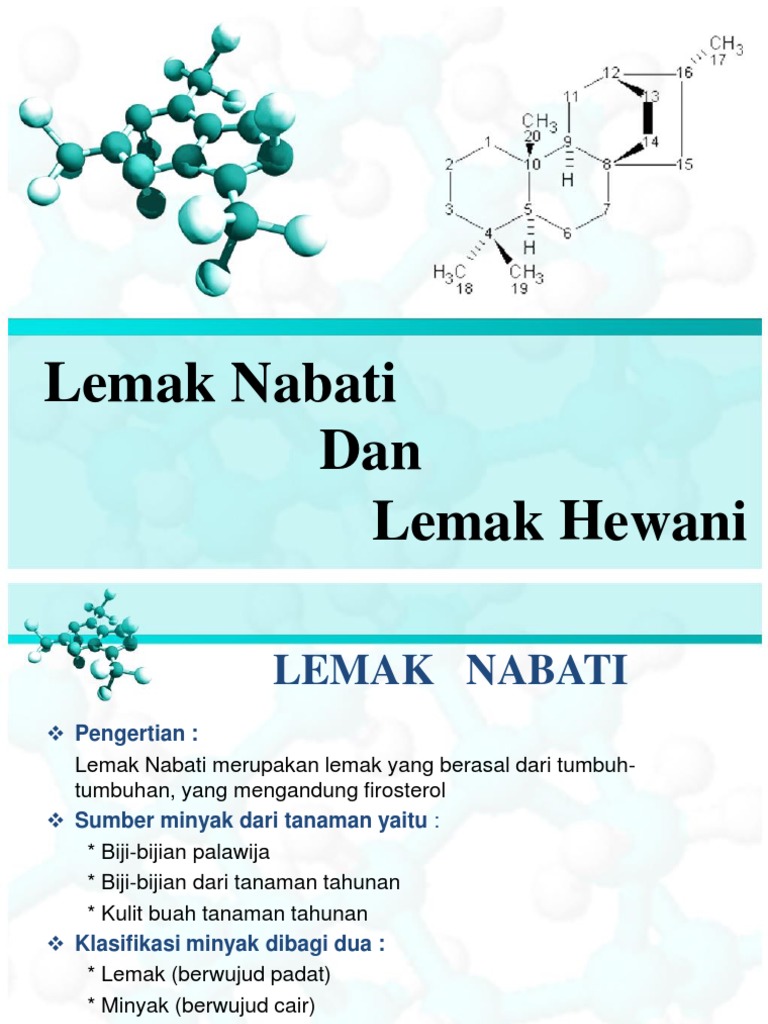 Lemak Nabati Dan Lemak Hewani | PDF