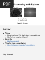 PDF Document