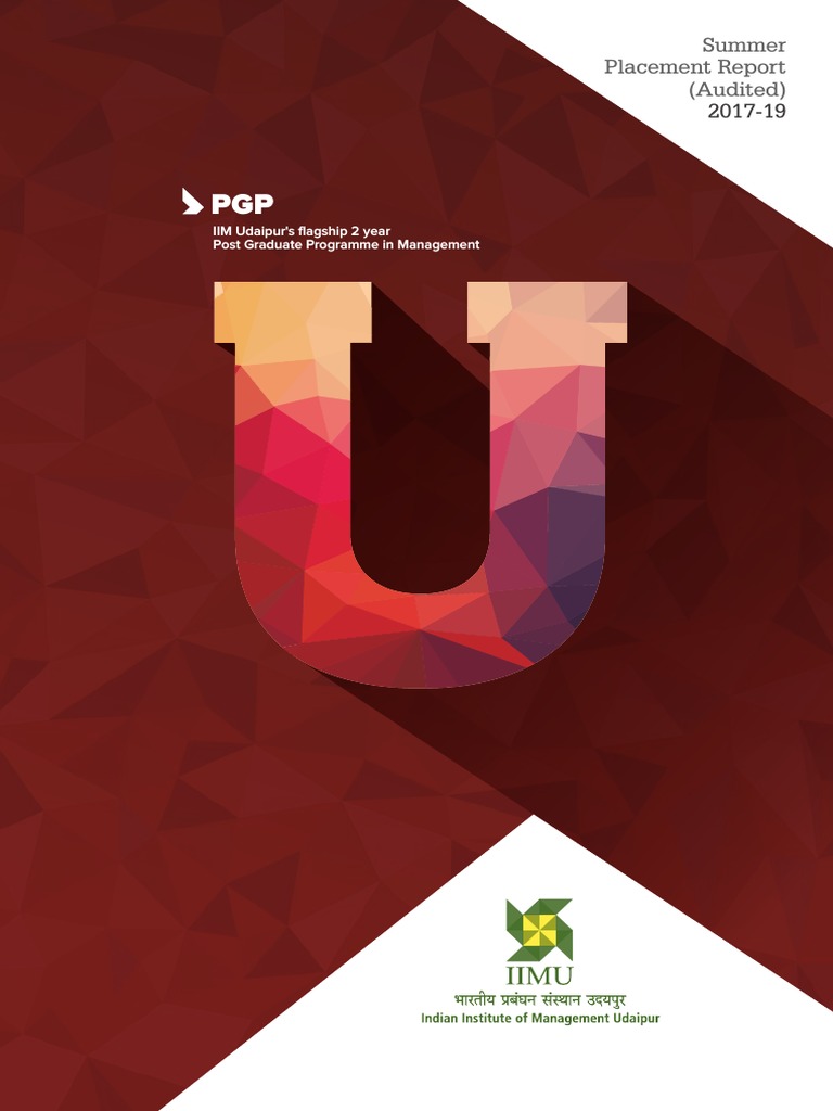 Iimu Summer Placement Report Audited 2017-19 May21 | PDF | E Commerce ...