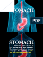 Stomach: Prepared By: Dr. Carlos A. Capulong