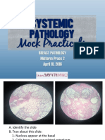 Systemic: Pathology Mock Practicals