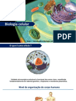 Aula de Biologia Celular