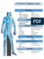 Chronic Oxidative Stress and The Body