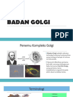 Badan Golgi