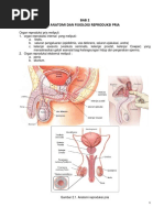 Mayo kiygan katta kokrakli qizlar
