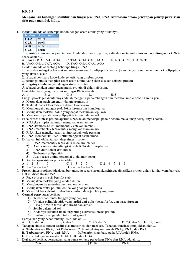 Analisis Struktur Gen dan Sintesis Protein | PDF | Sains & Matematika